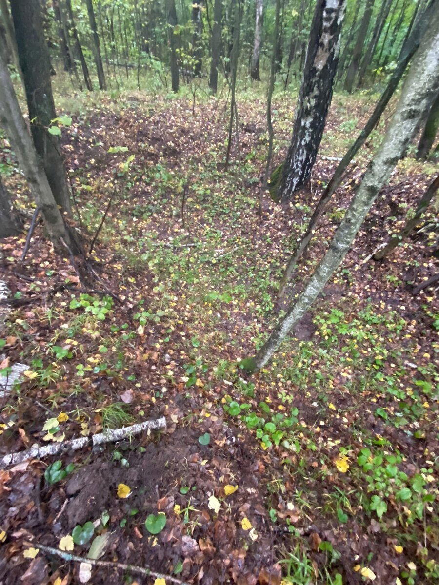 Продолжаю поиски с металлоискателем у лесной землянки