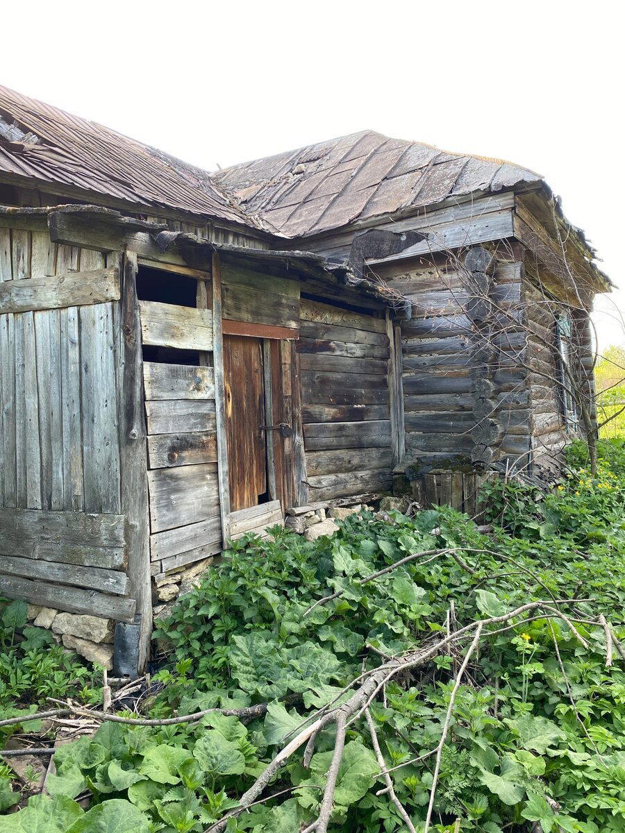 Нашел дом, на лесной поляне, в котором скрывалась, большая семья старообрядцев. Деревенские его растаскали вчистую