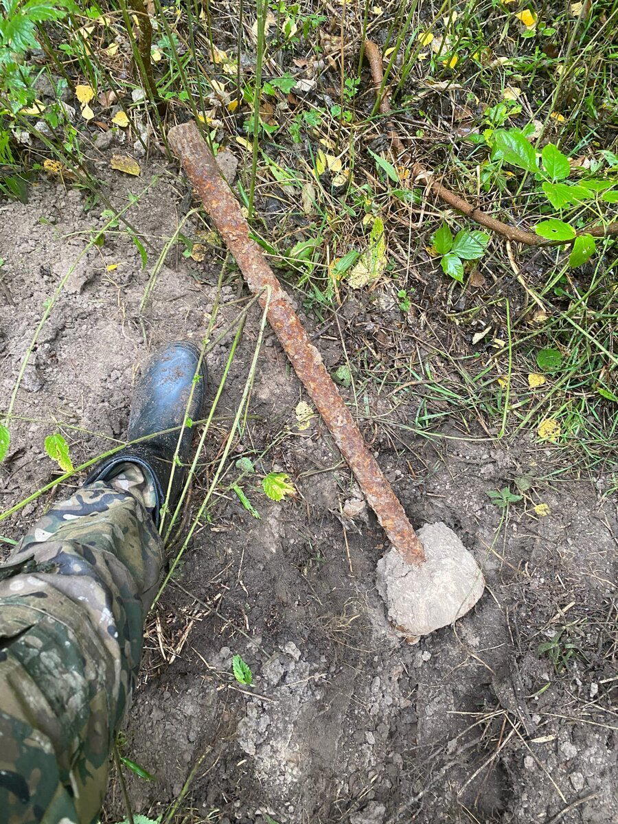 Продолжаю поиски с металлоискателем у лесной землянки