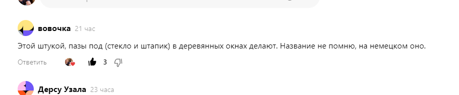 Находки из леса, которые меня несколько озадачили