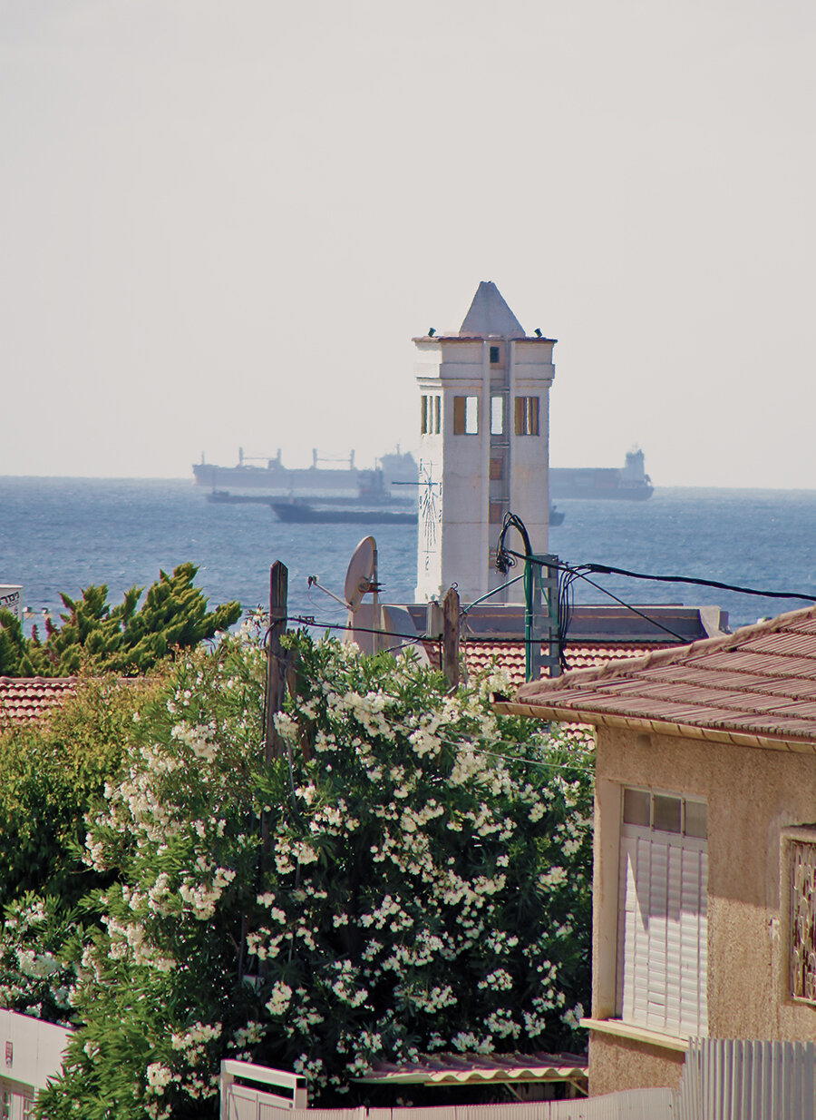 В тени жакаранд