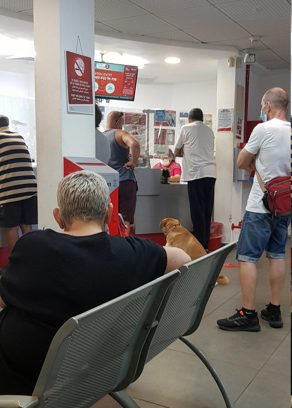 В очередь, сукины дети!