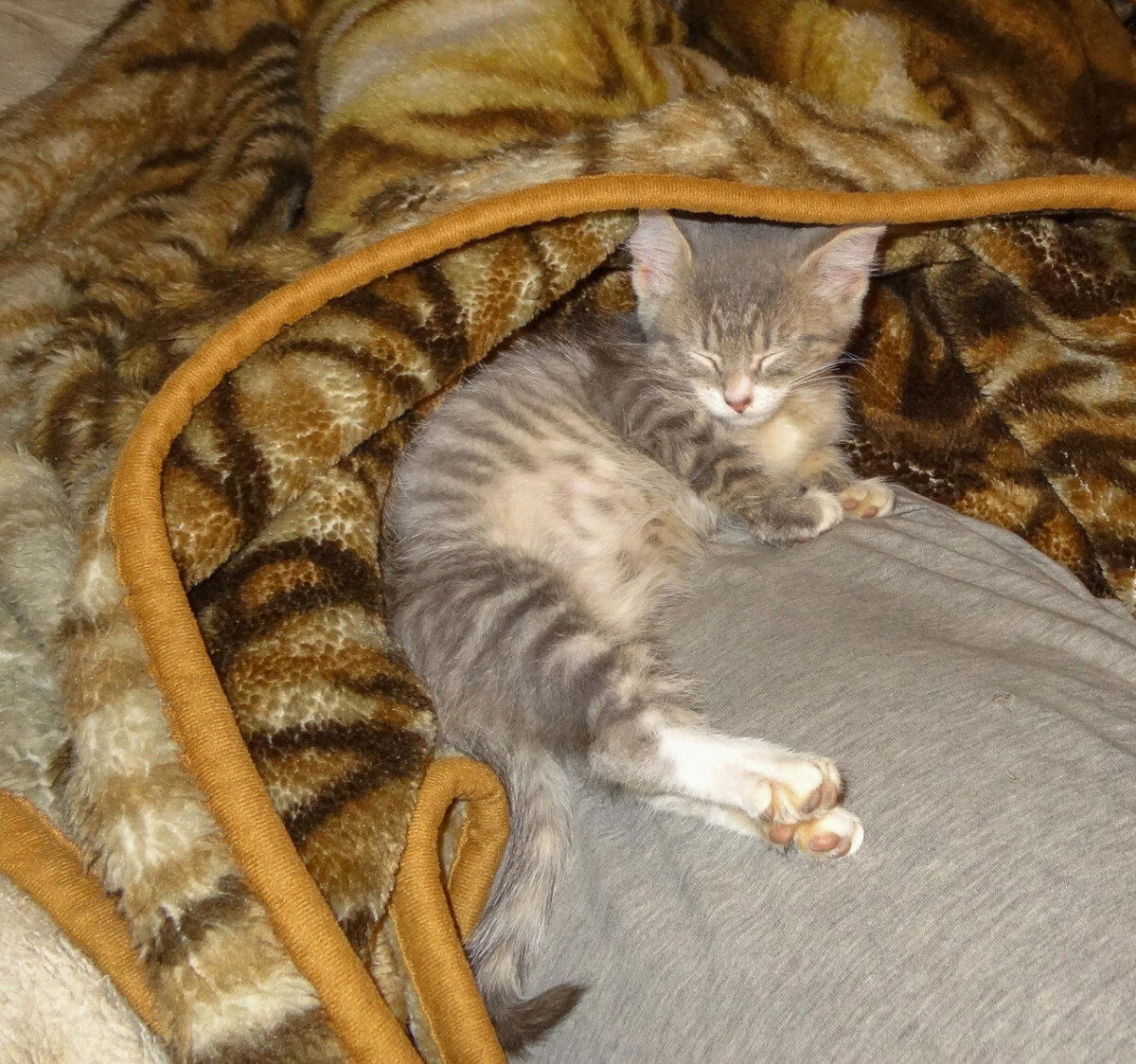 Мой трикотаж