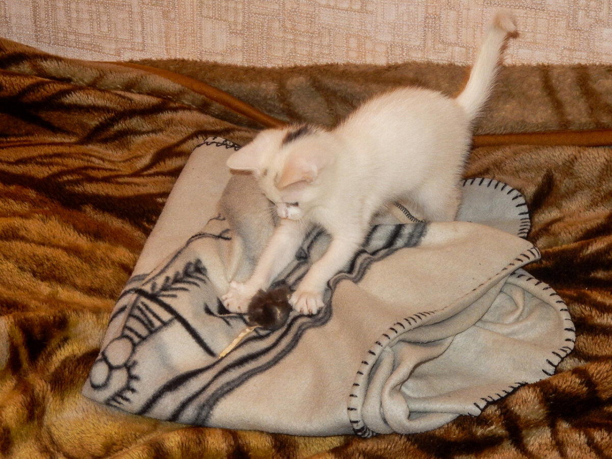 Мой трикотаж