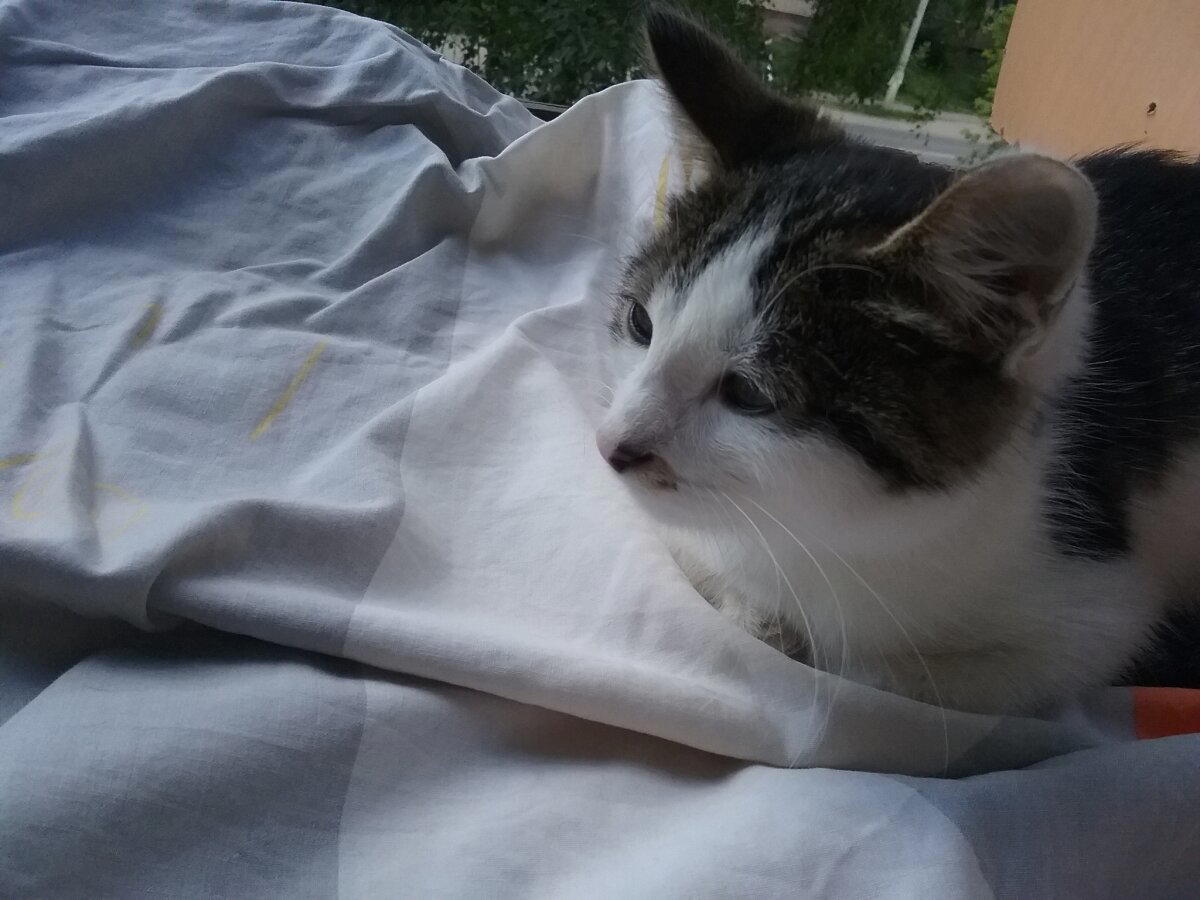 SOS . Пожалуйста помогите