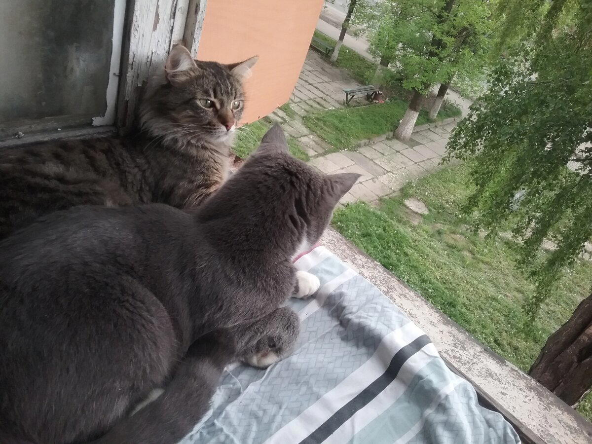 Так и живем