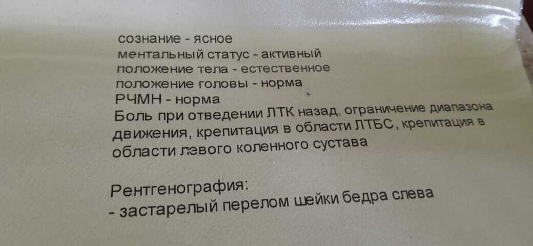 Про котиков