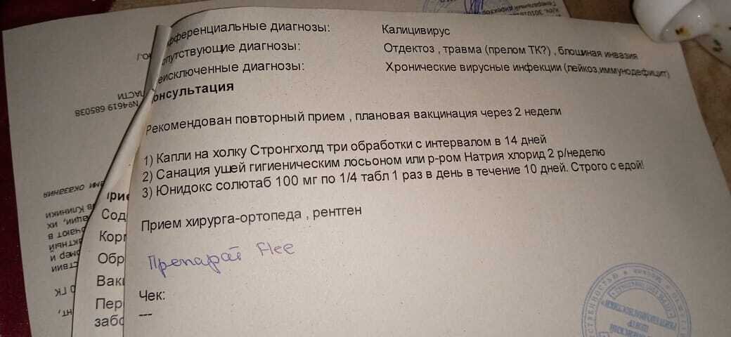 И снова, Банда