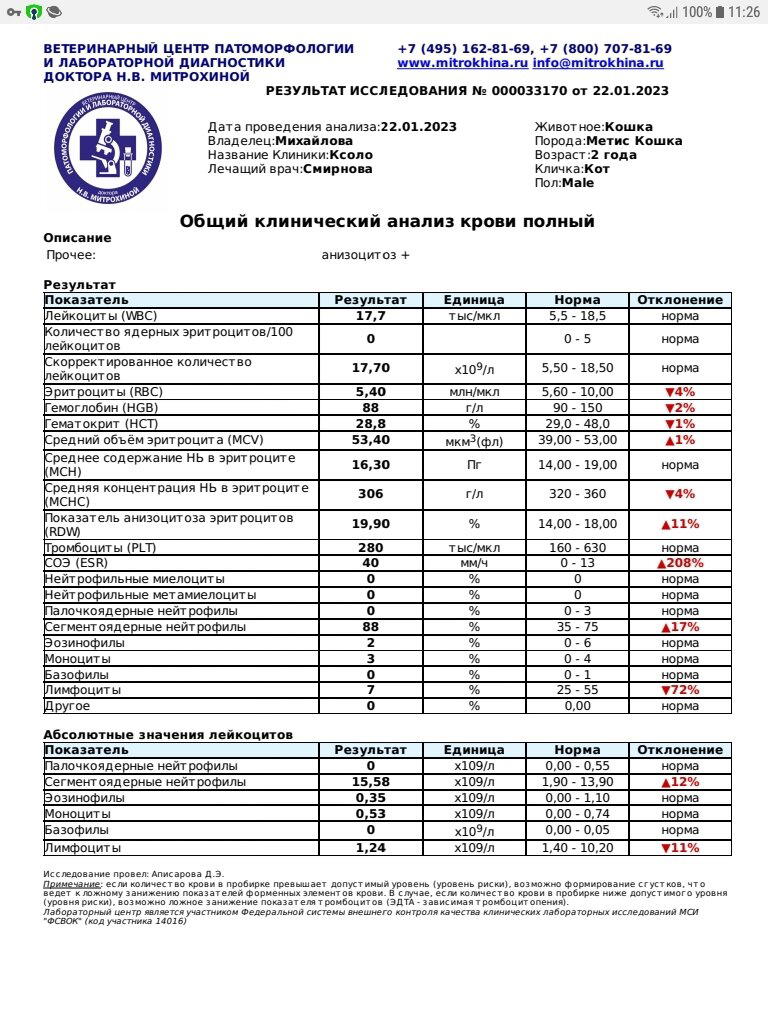 Продолжение поста «Продолжение поста &quot;SOS. Очень нужна помощь&quot;»