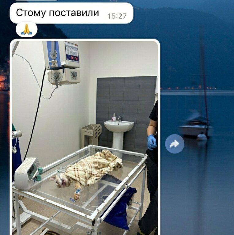 Продолжение поста «ПАНТЕЛЕЙМОН. НОВОСТИ»