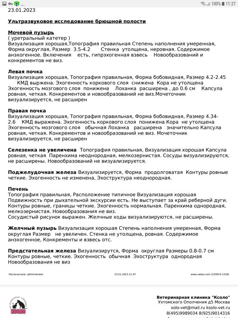 Продолжение поста «Продолжение поста "SOS. Очень нужна помощь"»