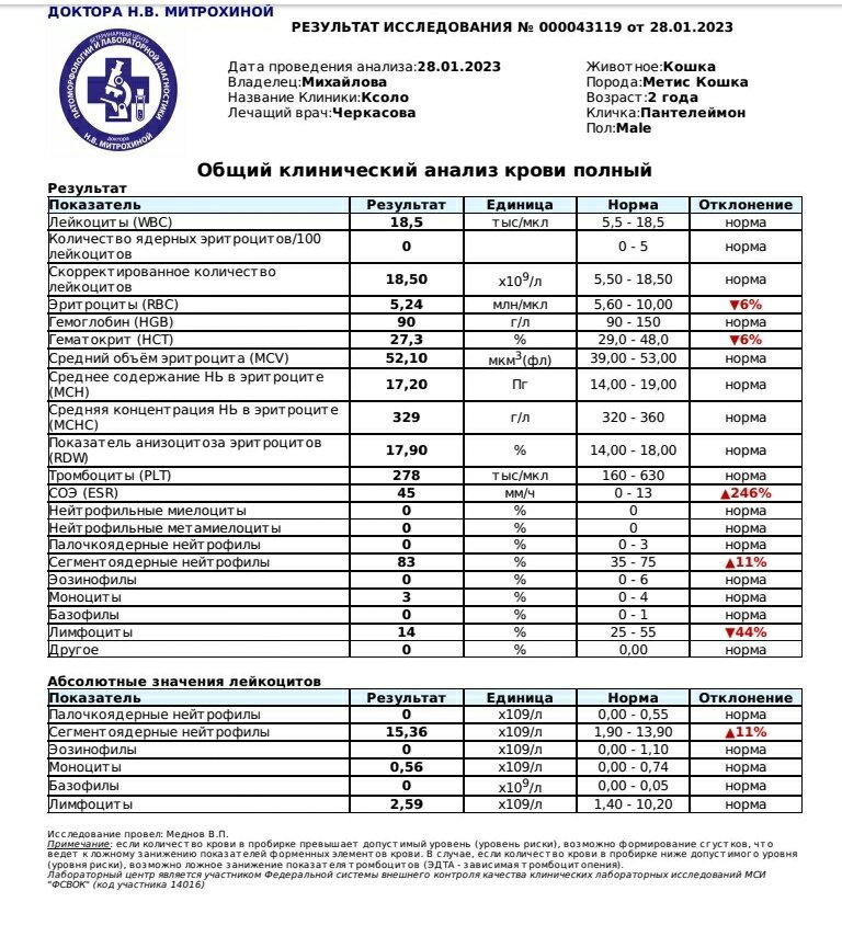 Продолжение поста «Продолжение поста &quot;SOS. Очень нужна помощь&quot;»