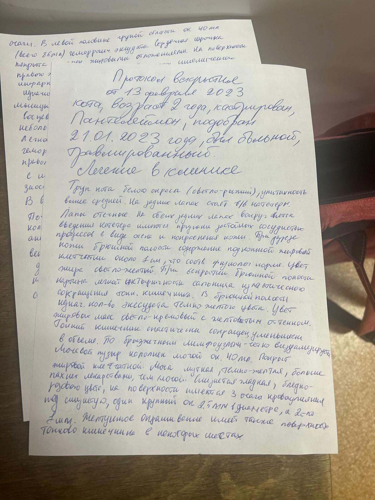 Человеческий фактор - это страшно. Беги по радуге, Пантюша... Прости, что мы не смогли тебе помочь