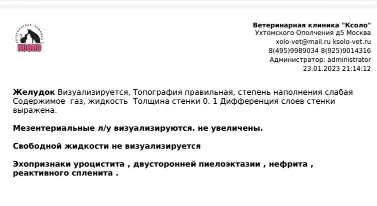 Продолжение поста «Продолжение поста &quot;SOS. Очень нужна помощь&quot;»