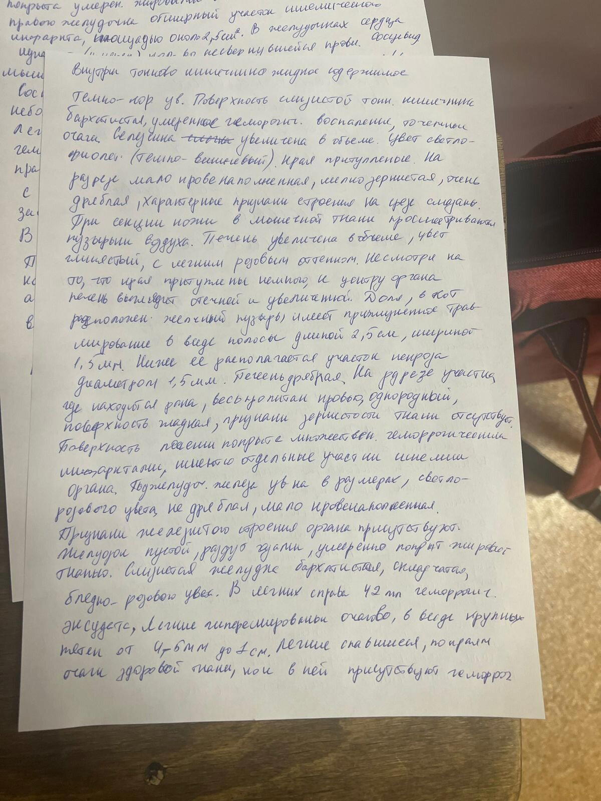 Человеческий фактор - это страшно. Беги по радуге, Пантюша... Прости, что мы не смогли тебе помочь
