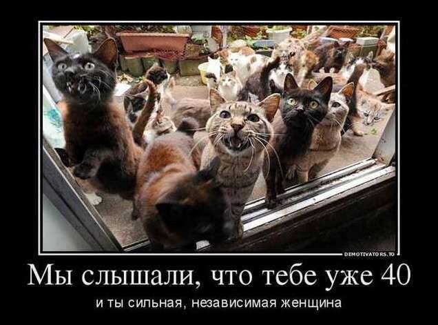 День Рожения в Банде