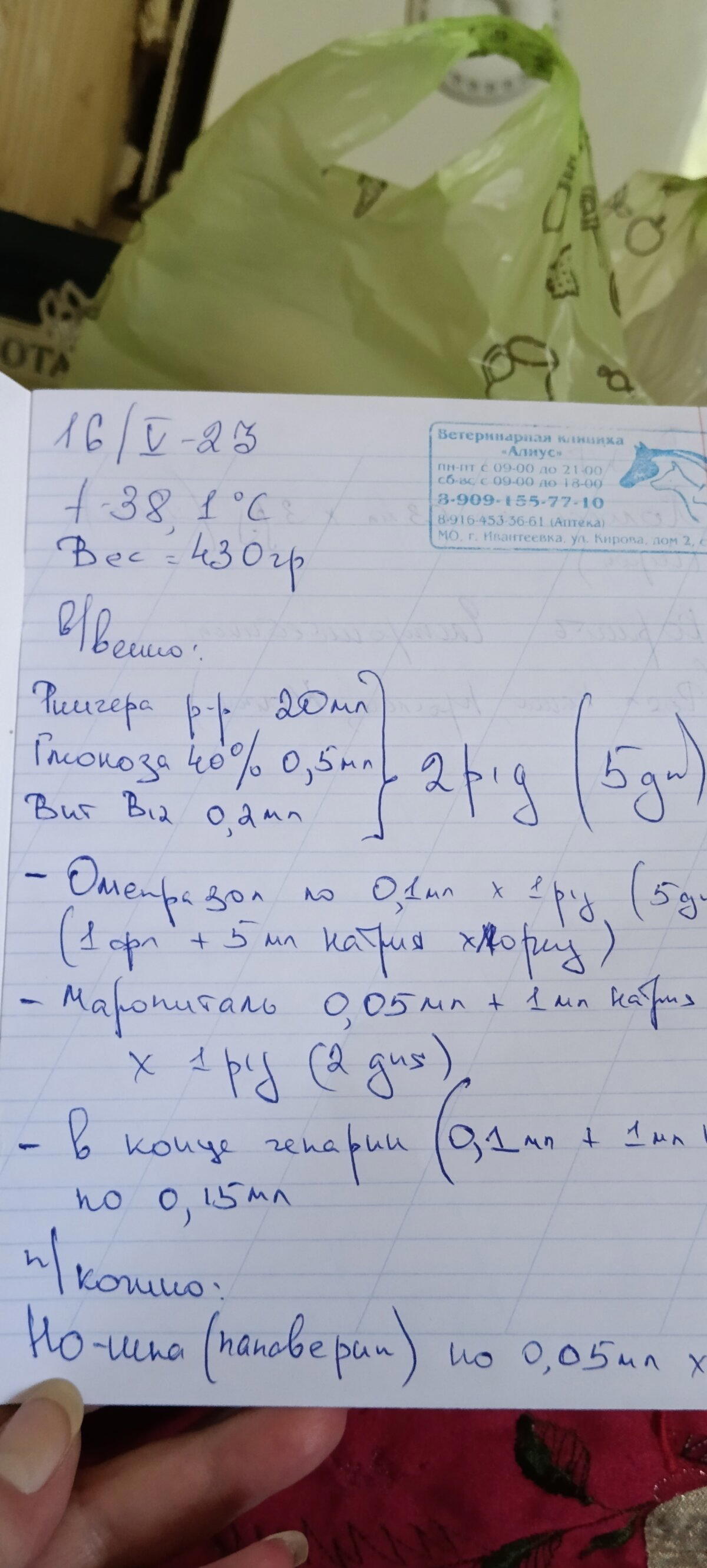 Продолжение поста «Алекс заболел»