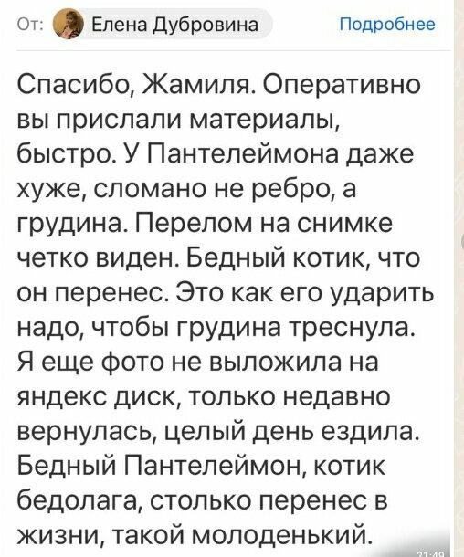 Человеческий фактор - это страшно. Беги по радуге, Пантюша... Прости, что мы не смогли тебе помочь