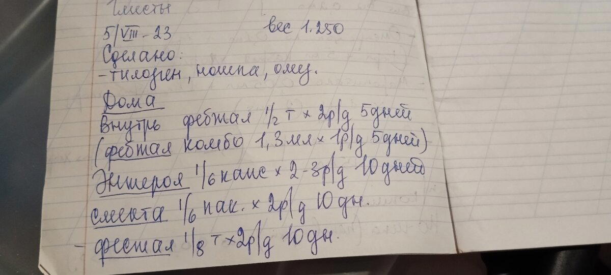Продолжение поста «И снова, Алекс»