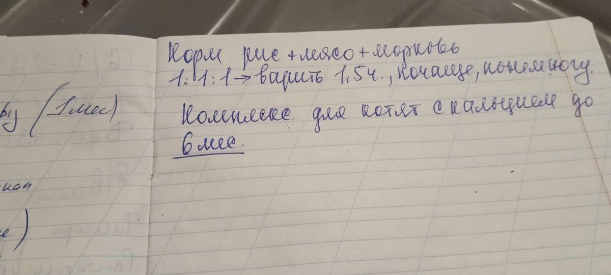 Продолжение поста «И снова, Алекс»