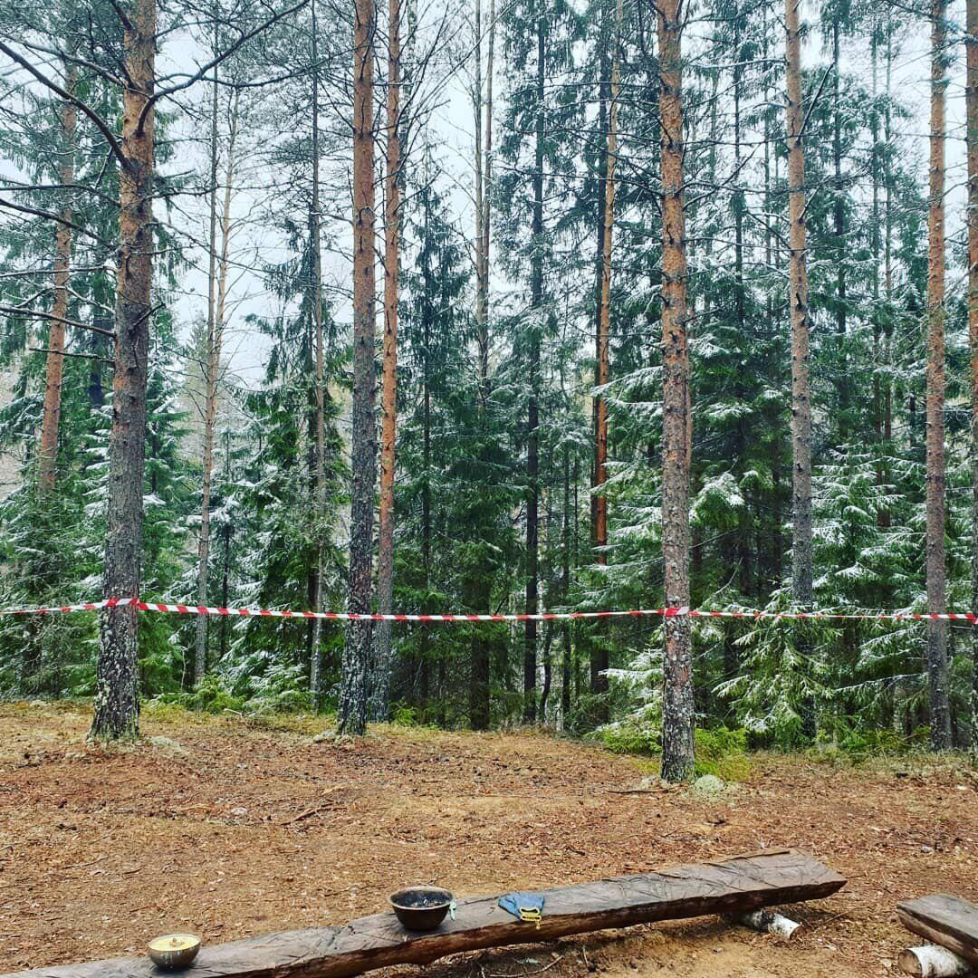 Злая чага