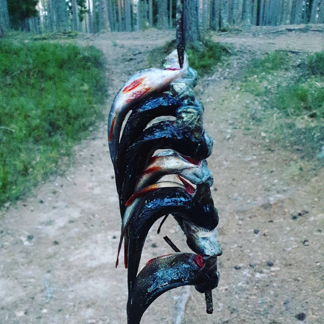 Злая чага