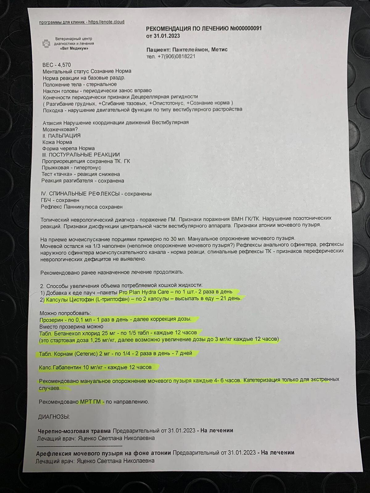 Продолжение поста «SOS. Очень нужна помощь»