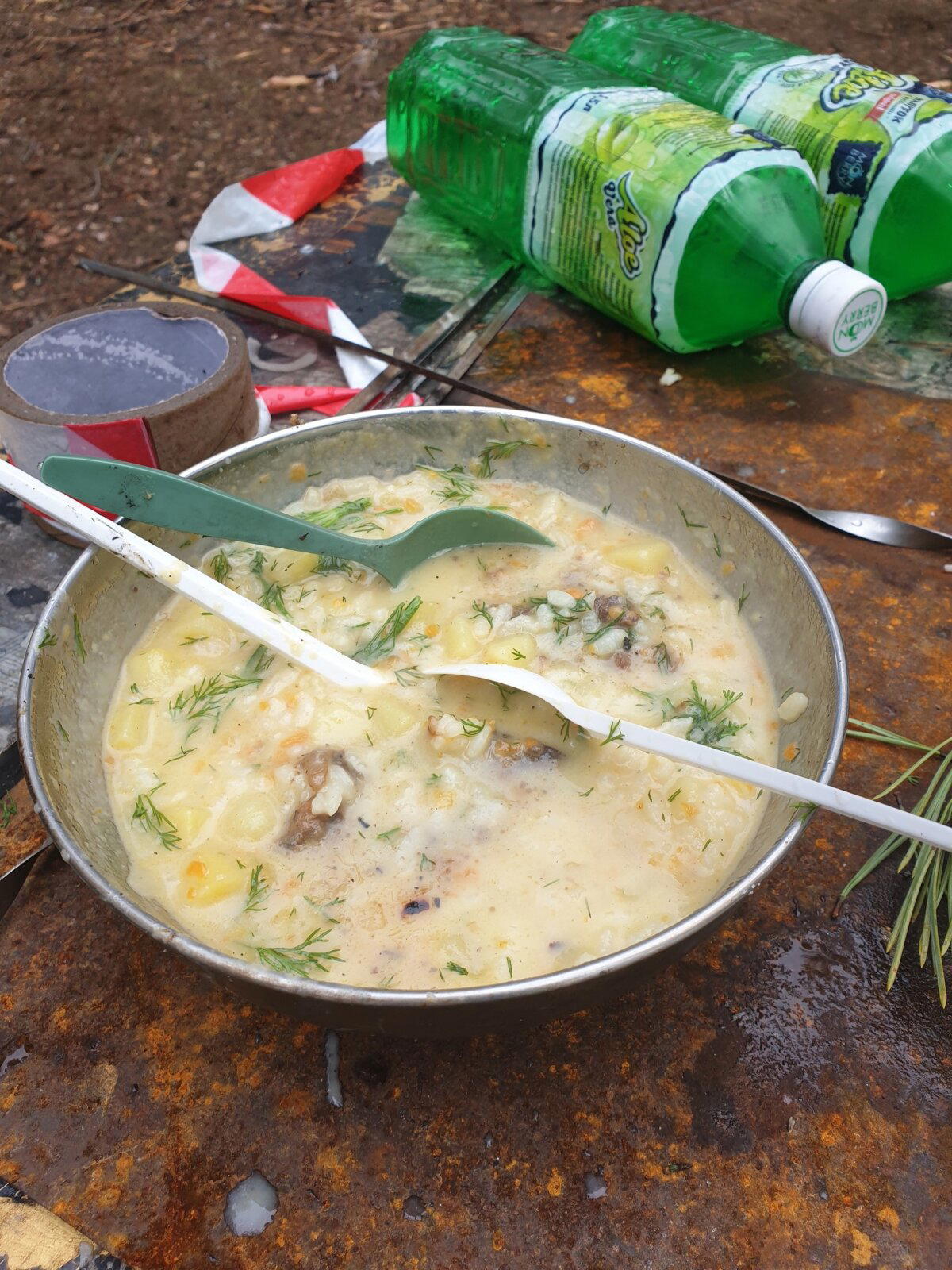 Злая чага