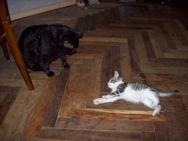 Тёпка