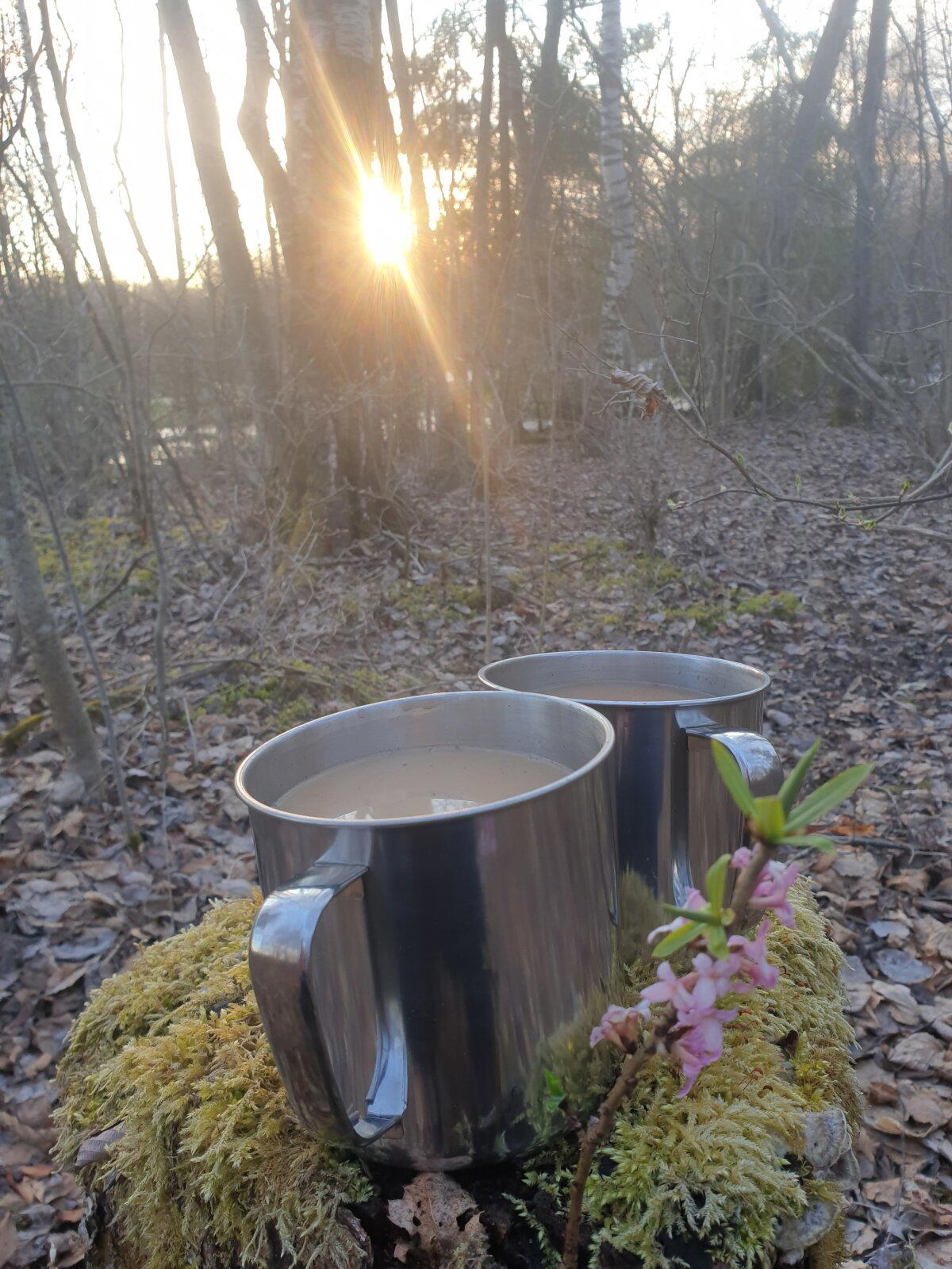 Сезон открыт)