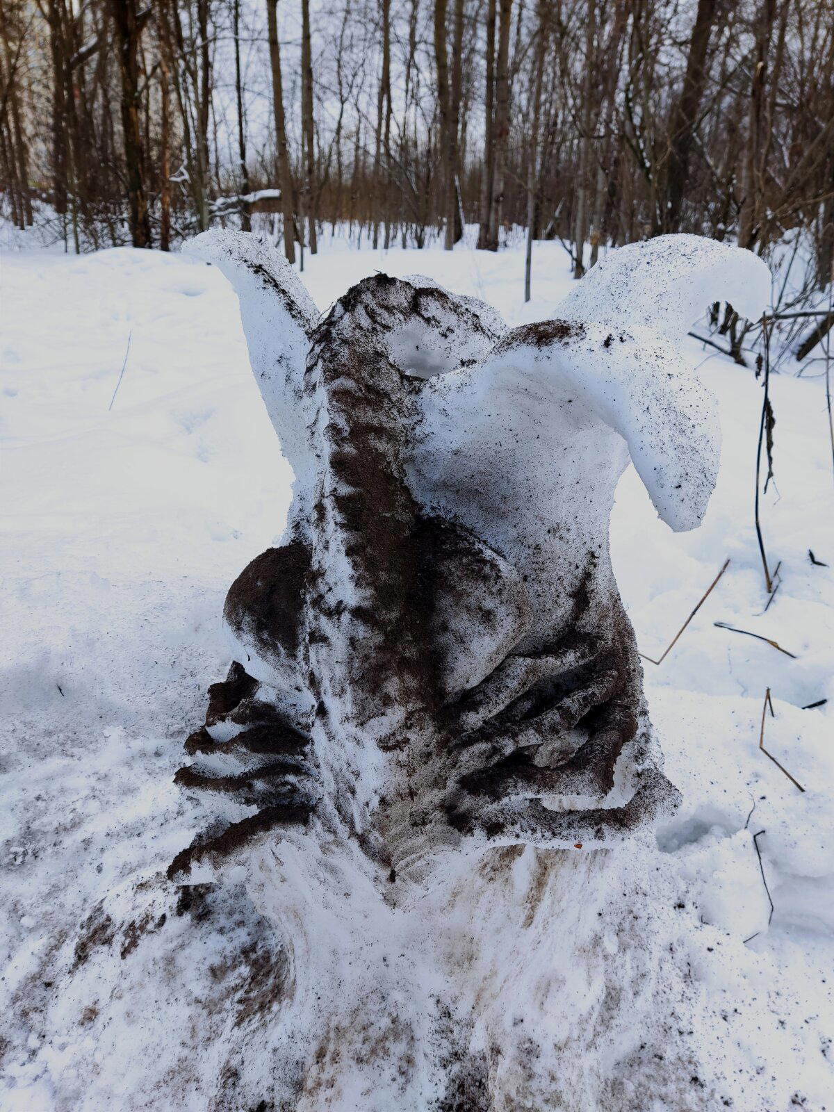Снежный чужой