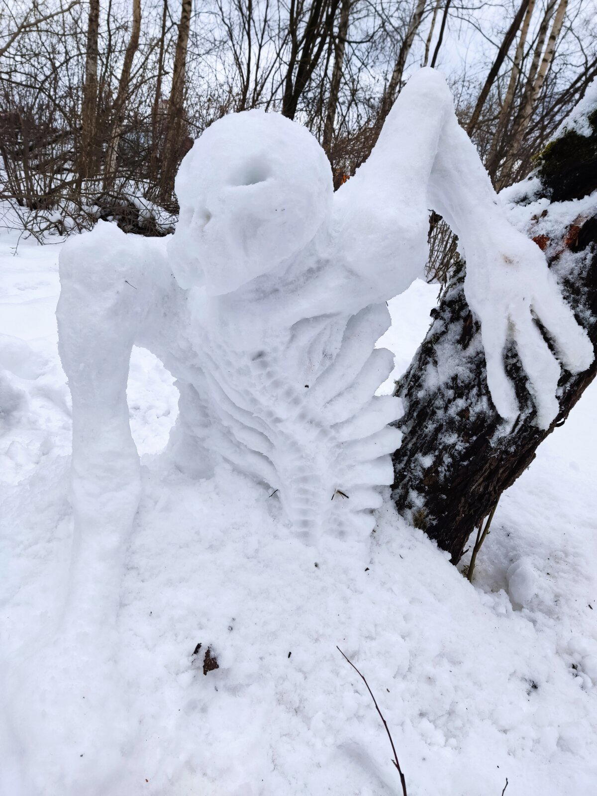 Снежная хтонь