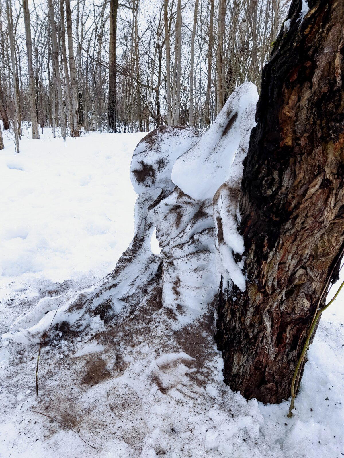 Снежная хтонь