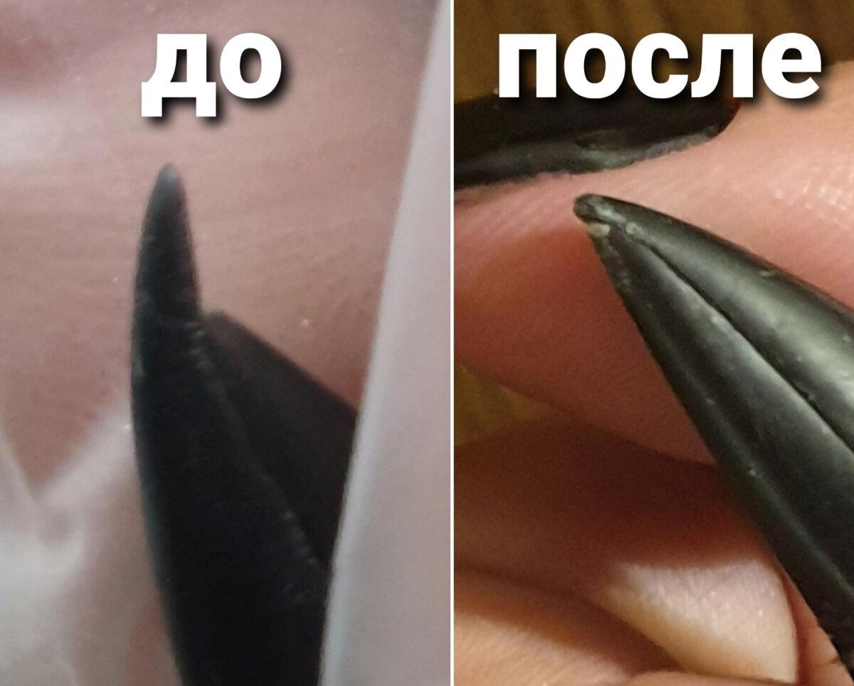 Было и стало (пернатая версия)