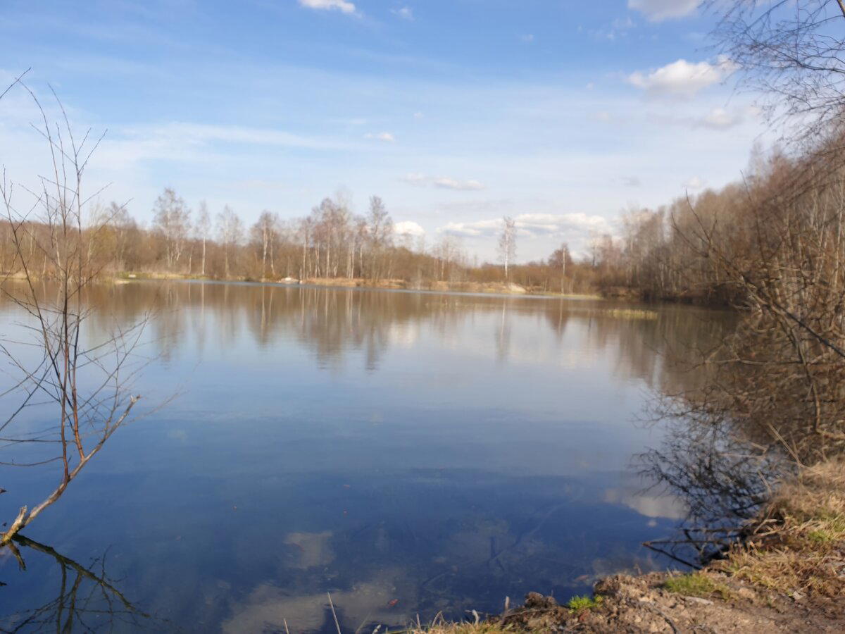 Сезон открыт)