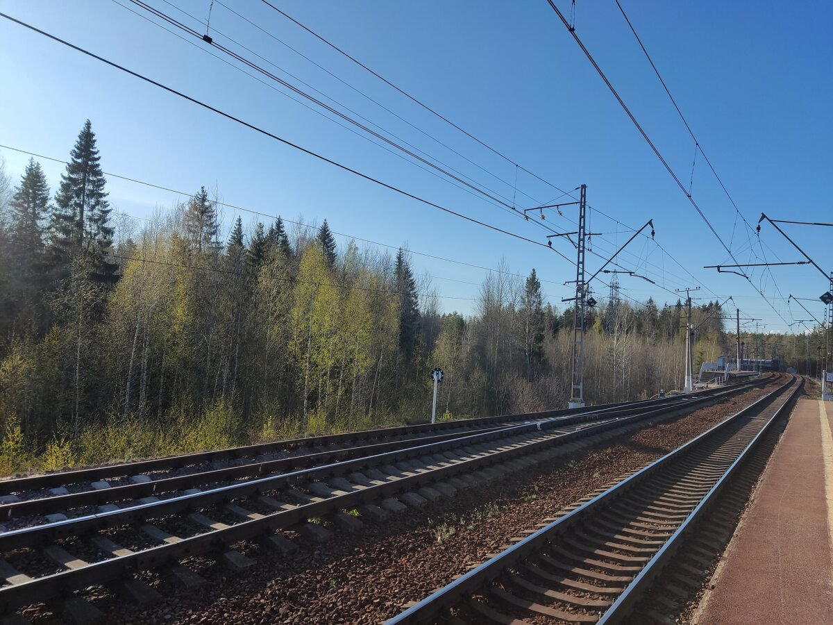 Встречаем лето