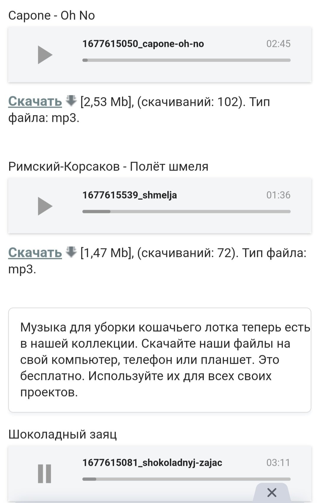 Музыка для уборки кошачьего лотка