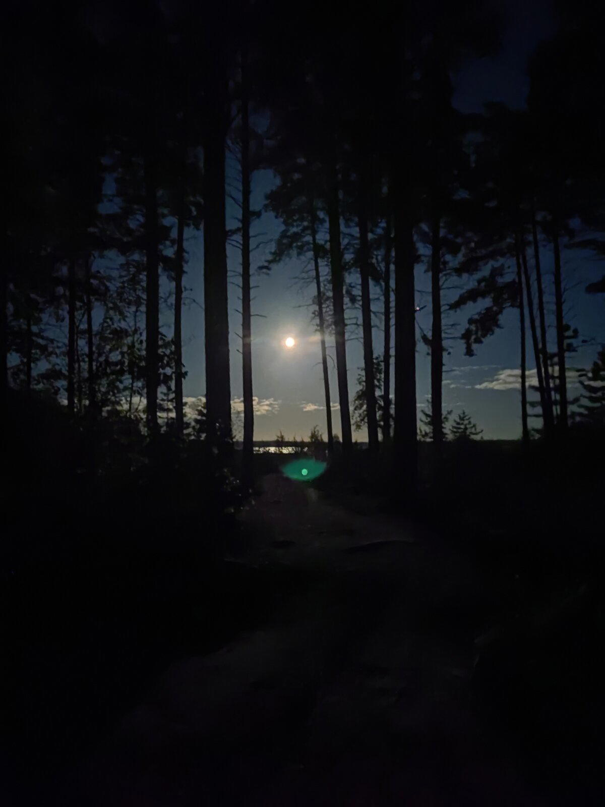 Осеннее