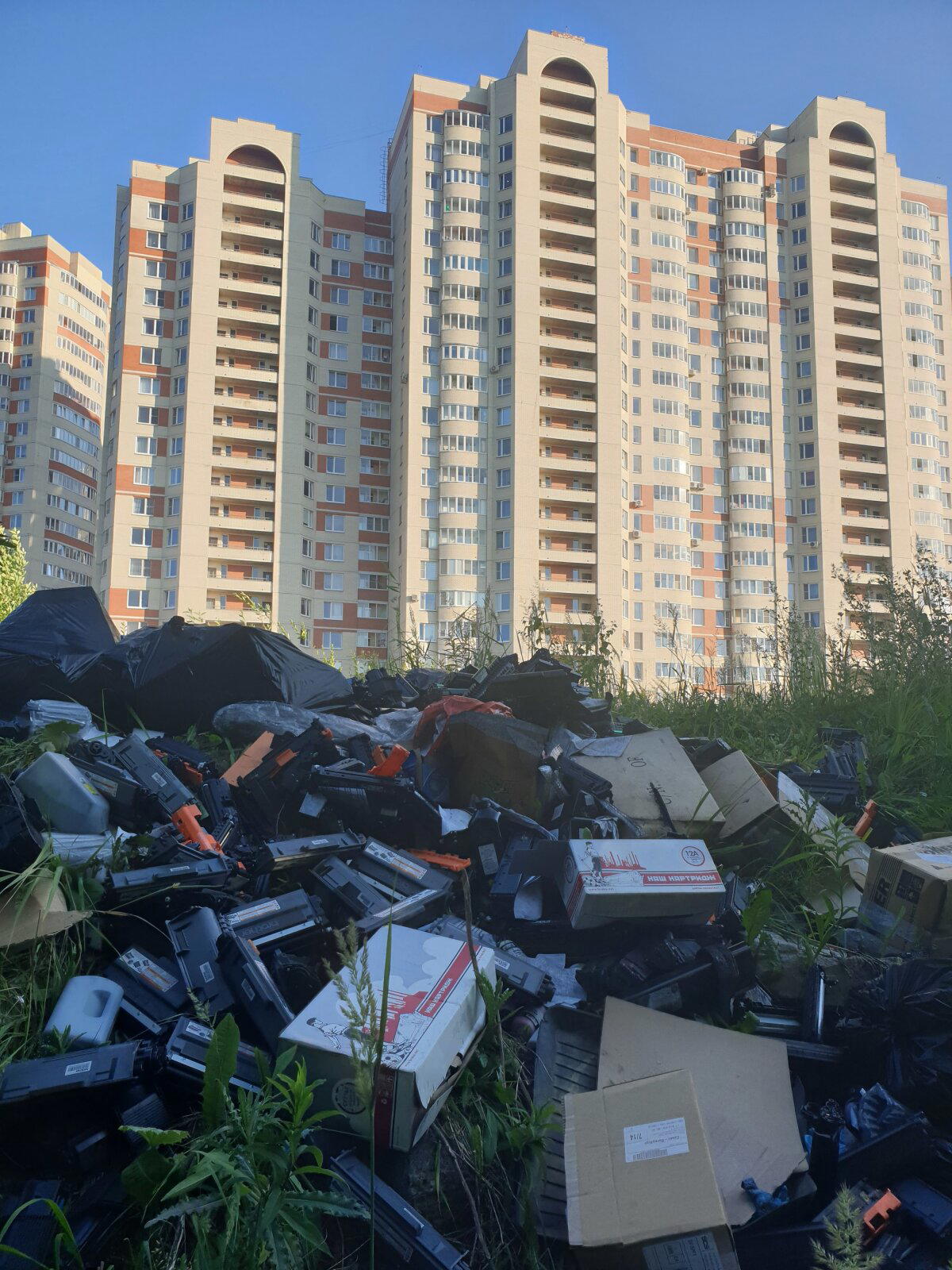 Очередное скотство