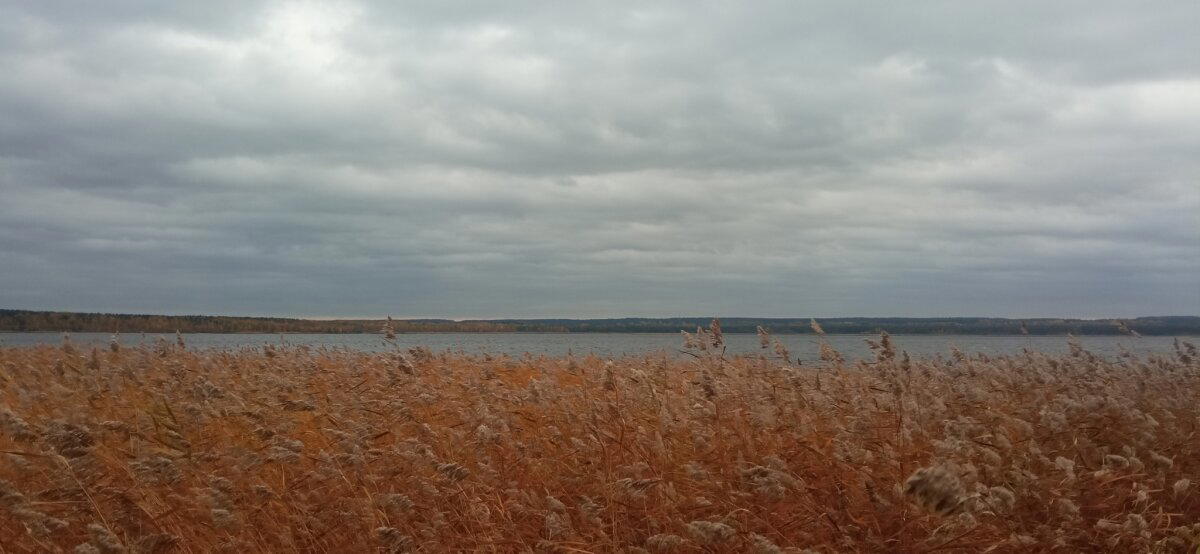 Осеннее
