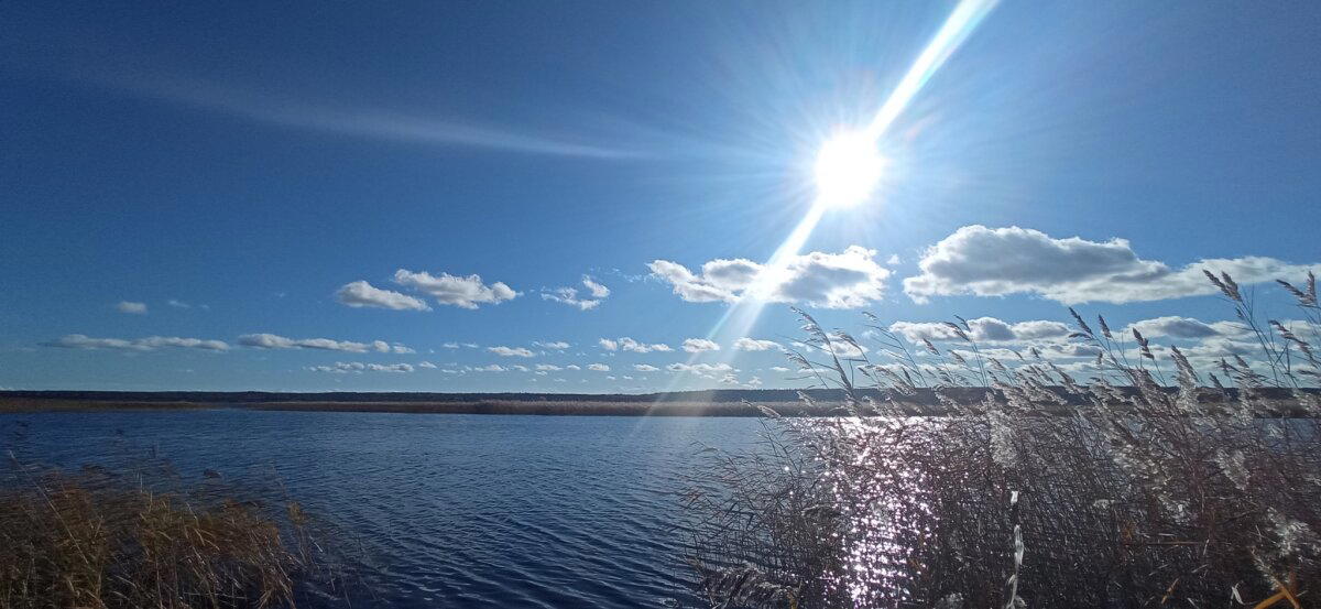 Осеннее