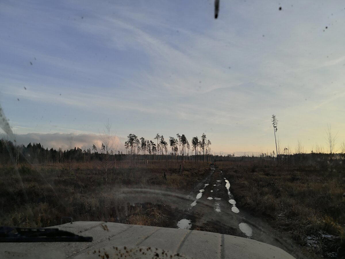 Последний день ноября