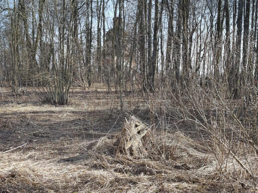 Три шага от дома, пыль неровных дорог