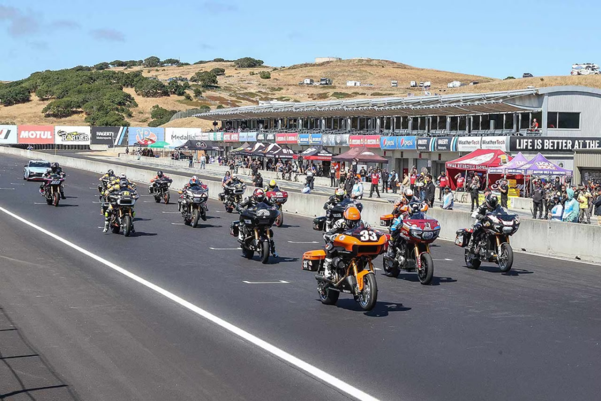 King of the Baggers