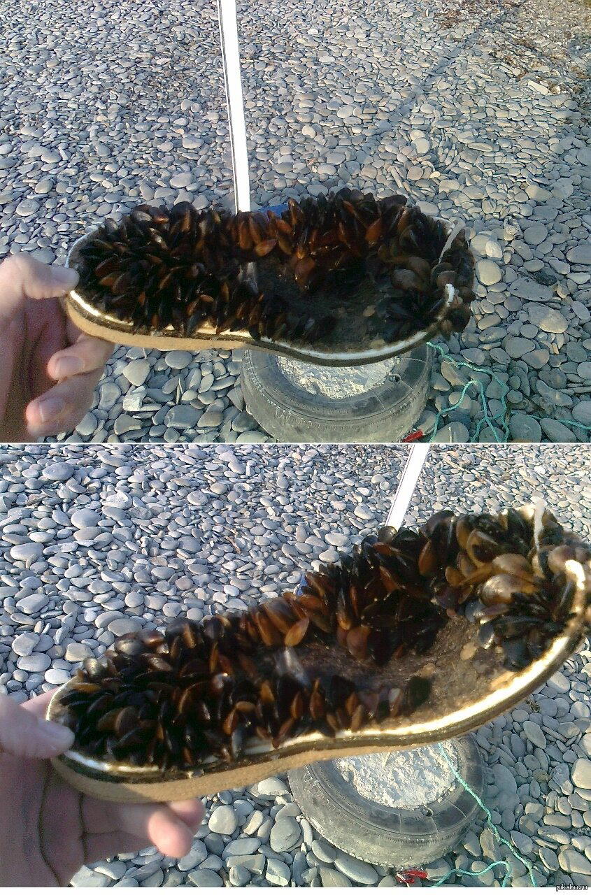 Тапок Дейви Джонса