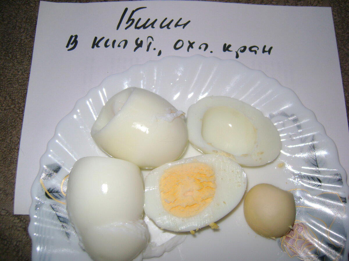 Так как же правильно варить яйца?