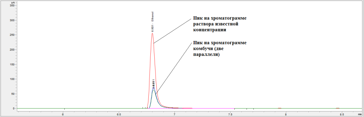 Есть ли спирт в настое чайного гриба? [газовая хроматография]