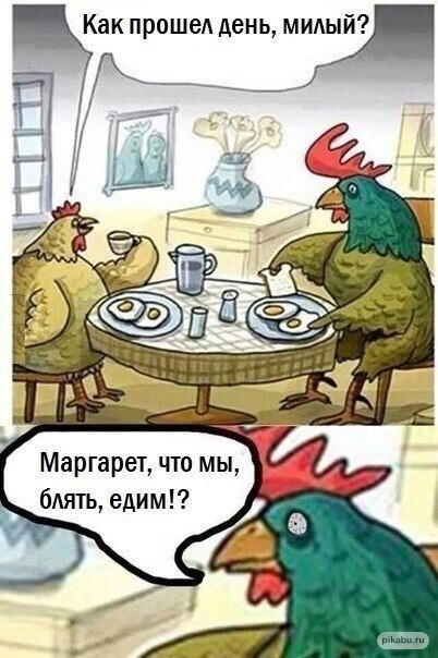 Так как же правильно варить яйца?