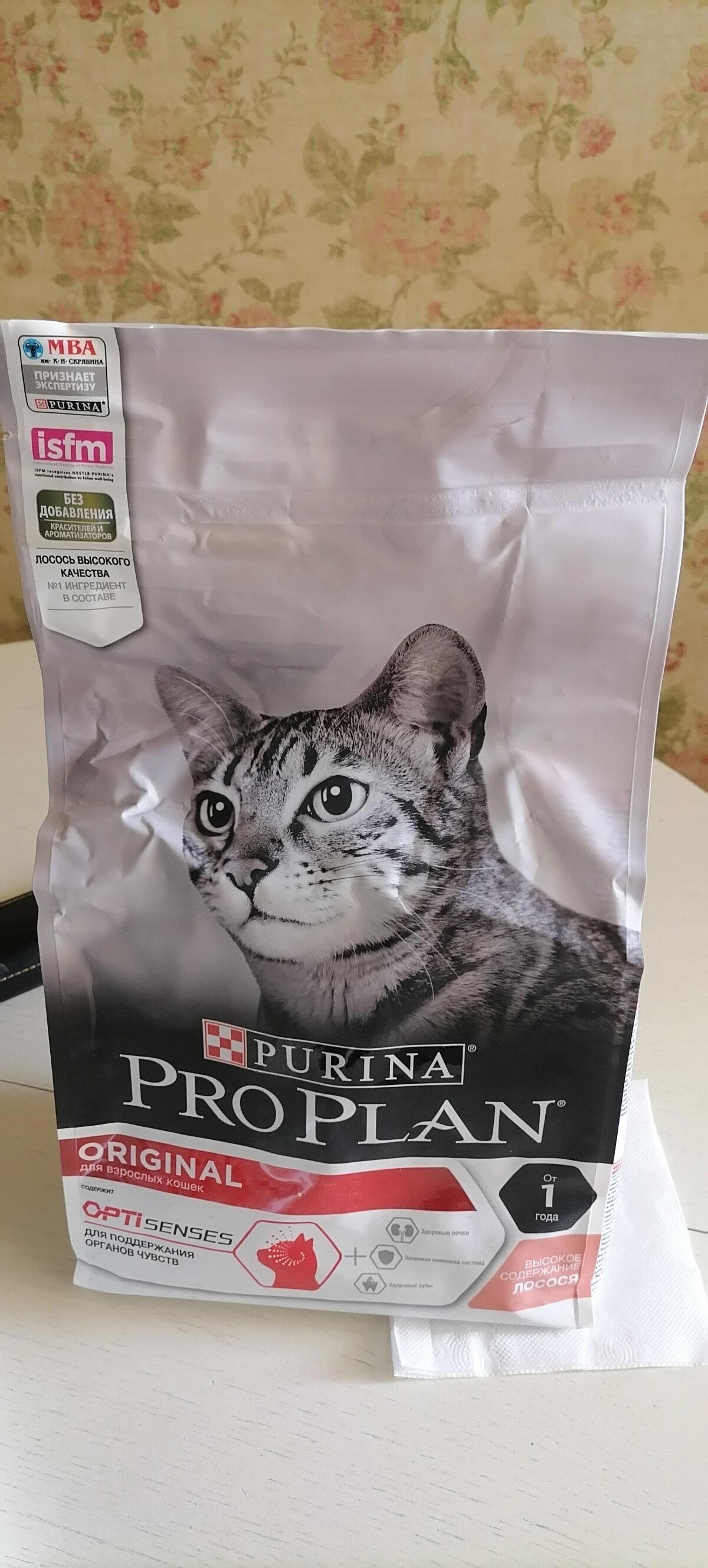 Угощение котику