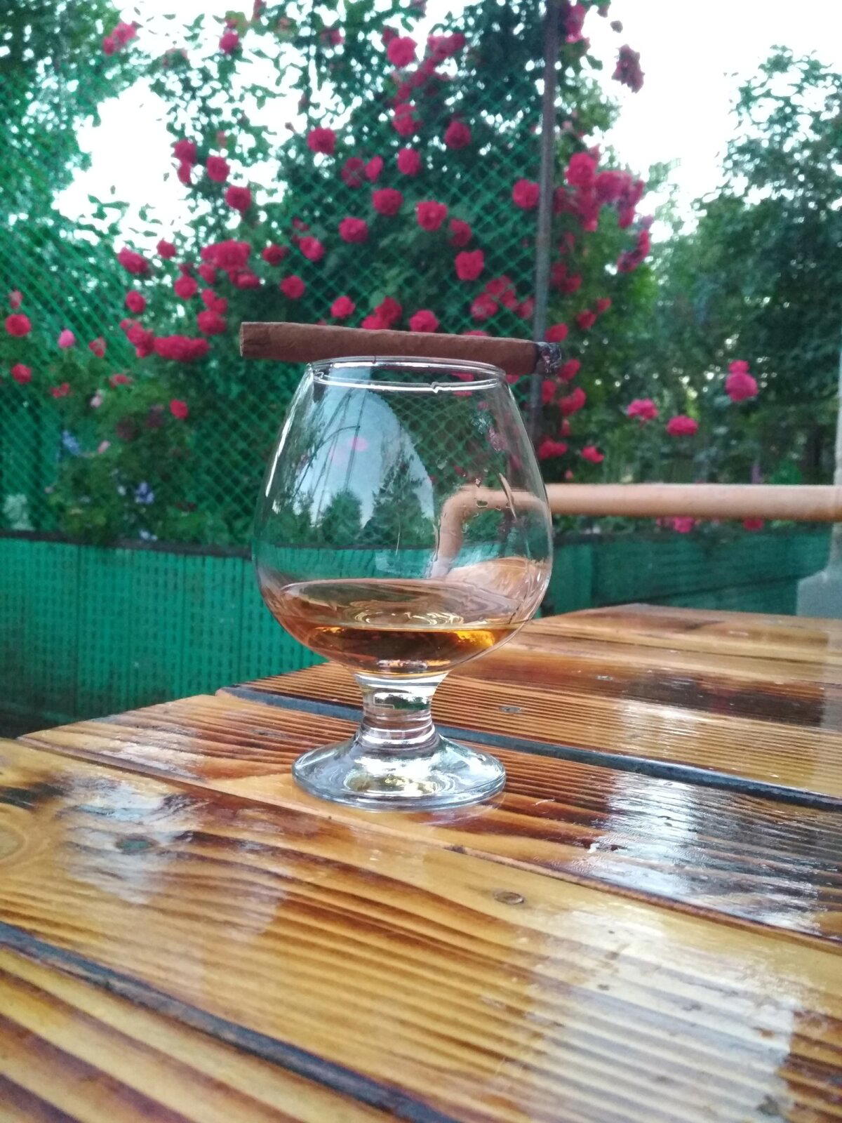 Всех с первым днём лета)